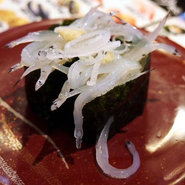 masanokoma11.jpg